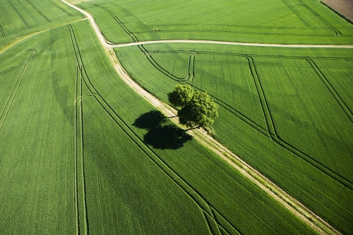 Un arbre au milieu de champs cultivés dans la campagne Française photographié par drone. Le drone au service du monde agricole & vinicole | Philippe DUREUIL Photographie