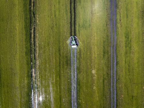 Photo aérienne par drone d'une rizière de Camargue - Client : Comptoir Agricole du Languedoc | Philippe DUREUIL Photographie