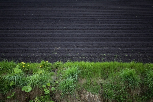 Champs de terre noir à Hokkaido, Japon. | Philippe DUREUIL Photographie
