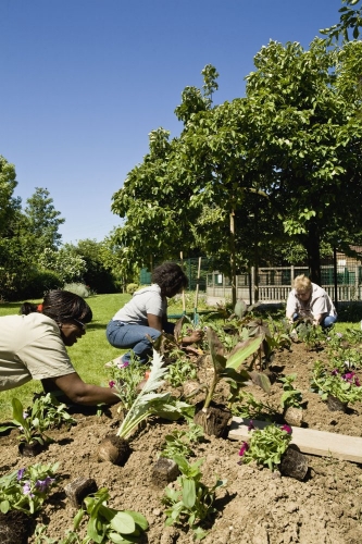 Photographie développement durable réalisée pour le Conseil Général des Hauts-de-Seine | Philippe DUREUIL Photographie