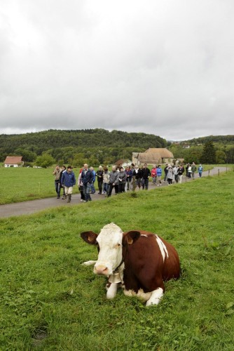 Reportage photographique à l'occasion des journée du patrimoine. Découverte d'un élevage dans le Jura. Client : CIDIL | Philippe DUREUIL Photographie