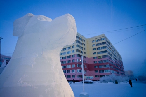 Sculpture en glace d'un chien | Philippe DUREUIL Photographie