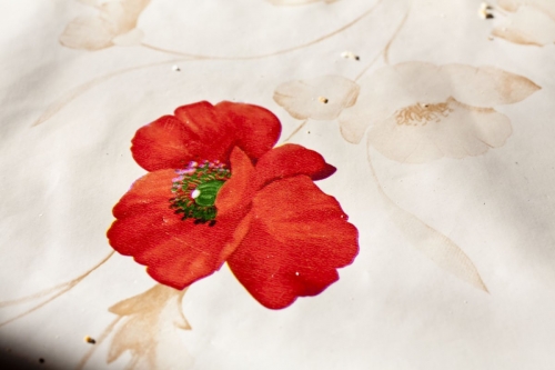 Un coquelicot sur une toile cirée | Philippe DUREUIL Photographie