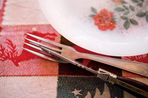 Assiette et couvert sur une toile cirée | Philippe DUREUIL Photographie