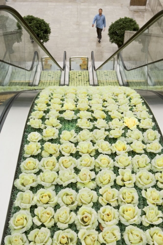Escaliers mécaniques avec une décoration florale artificielle | Philippe DUREUIL Photographie