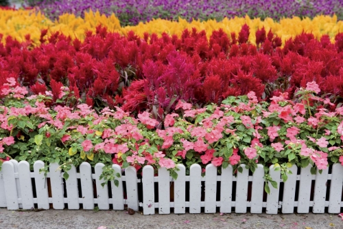 Décoration de fleurs artificielles | Philippe DUREUIL Photographie