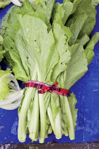 Botte de légumes liée par un morceau de tissus | Philippe DUREUIL Photographie