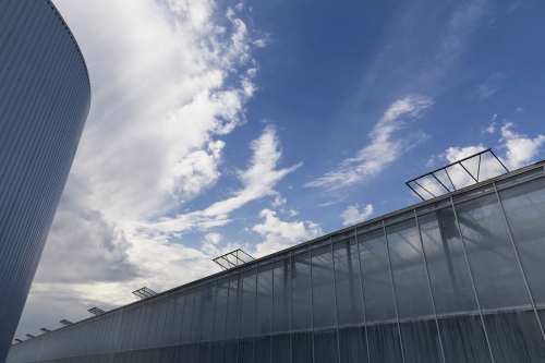 Photographie industrielle de reportage sur la serriculture | Philippe DUREUIL Photographie