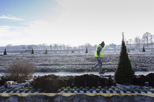 Photo de suivi de chantier. Reportage sur les travaux de plantation dans les jardins à la française du château de Chambord. | Philippe DUREUIL Photographie