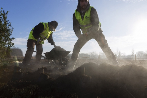 Jardiniers au travail dans la lumière du matin | Philippe DUREUIL Photographie