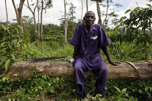 Photographie de reportage commandé par Nescafé®. Planteur de café assis dans sa plantation avec sa machette. | Philippe DUREUIL Photographie