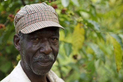 Photographie de portrait d'un planteur de café en Côte d'Ivoire | Philippe DUREUIL Photographie