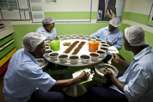 Reportage photographique industriel réalisé pour Nescafé® à Abidjan. | Philippe DUREUIL Photographie