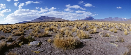 Panorama 180°du désert d'Atacama au Chili. | Philippe DUREUIL Photographie