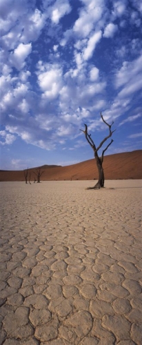 Paysage panoramique - Namibie | Philippe DUREUIL Photographie