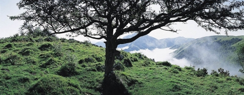 Photo panoramique de paysage du Pays Basque réalisée dans les Pyrénées-Atlantiques | Philippe DUREUIL Photographie