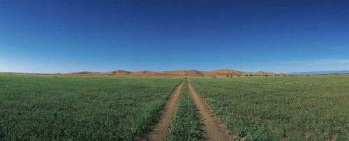 Photographie panoramique du désert au Maroc après la pluie | Philippe DUREUIL Photographie