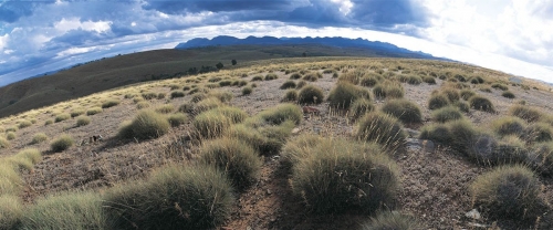 Australie - Flinders Ranges - paysage panoramique | Philippe DUREUIL Photographie