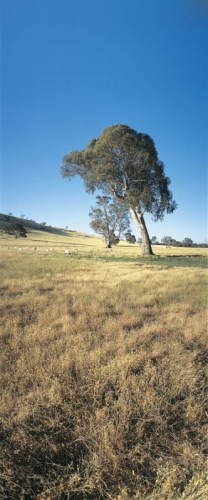 Photographie panoramique de paysage - Australie | Philippe DUREUIL Photographie