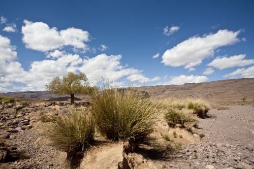 Reportage photo réalisé dans le désert du Sagho au Maroc | Philippe DUREUIL Photographie