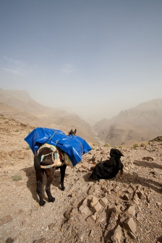 Reportage photo réalisé dans le désert du Sagho au Maroc | Philippe DUREUIL Photographie