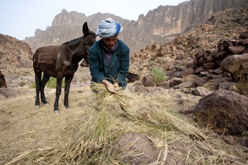 Reportage photo réalisé dans le désert du Sagho au Maroc | Philippe DUREUIL Photographie