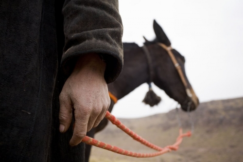 Reportage photo réalisé dans le désert du Sagho au Maroc | Philippe DUREUIL Photographie