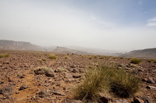 Reportage photo réalisé dans le désert du Sagho au Maroc | Philippe DUREUIL Photographie
