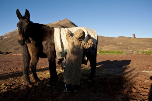 Reportage photo réalisé dans le désert du Sagho au Maroc | Philippe DUREUIL Photographie