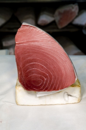 Pièce de thon rouge au marché aux poissons de Tsukiji à Tokyo Japon | Philippe DUREUIL Photographie