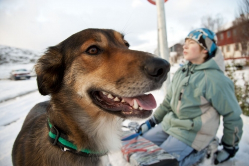 Enfant avec son chien dans la neige | Philippe DUREUIL Photographie