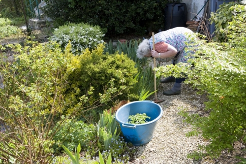 Femme âgée courbée dans son jardin potager. Photo d'illustration de la vie quotidienne au troisième âge. | Philippe DUREUIL Photographie